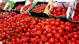 РФ запрещает ввоз марокканских томатов с сертификатами Нидерландов, Бельгии и Франции